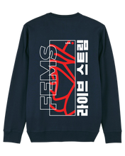 Load image into Gallery viewer, Fems Sweater met Rode achterkant
