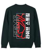 Load image into Gallery viewer, Fems Sweater met Rode achterkant
