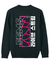 Load image into Gallery viewer, Fems Sweater met Roze achterkant
